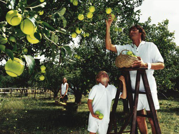 spring-promotion-tennis-small-95398