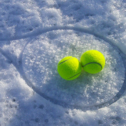 Bild_Winter